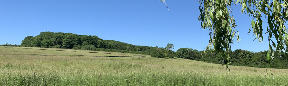 Field at Graven Hill